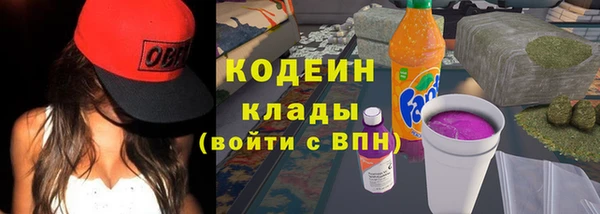 индика Армянск