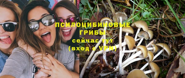 MESCALINE Аркадак
