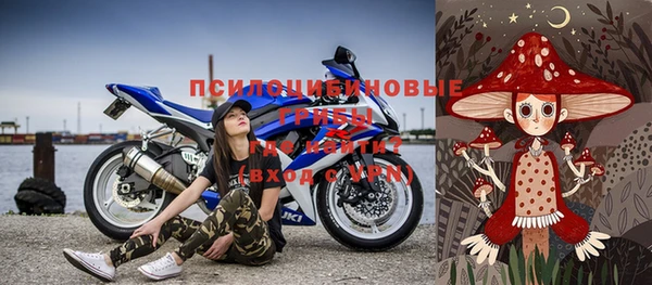 индика Армянск