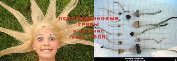 MESCALINE Аркадак