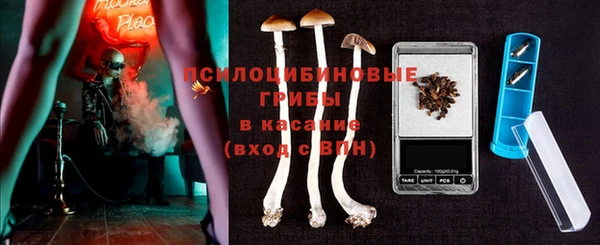 индика Армянск