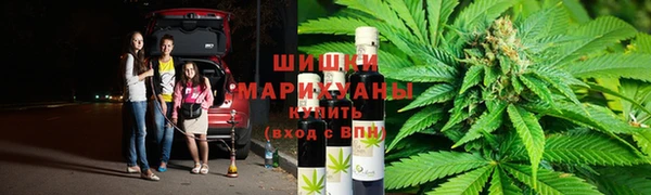 индика Армянск